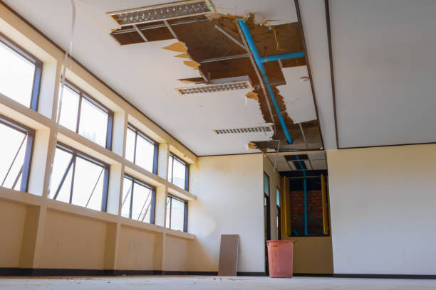 Best Water damage restoration near me  in Pembroke, GA