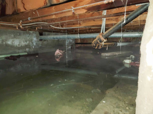 Best Fire Damage Restoration  in Pembroke, GA