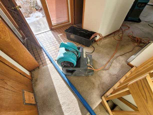 Best Water damage restoration near me  in Pembroke, GA