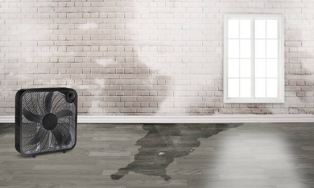 Best Emergency water damage restoration  in Pembroke, GA