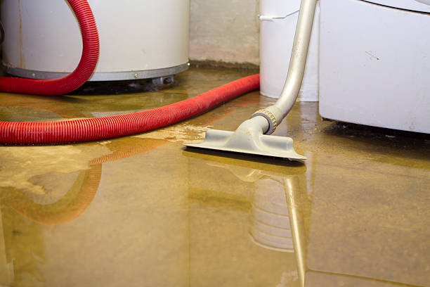Best Basement water damage restoration  in Pembroke, GA