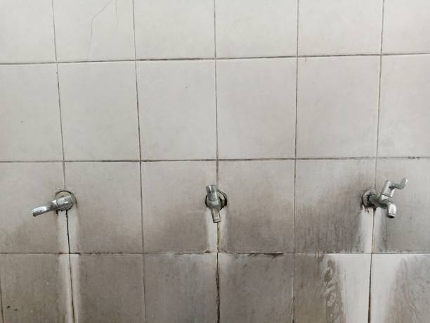 Best Water damage restoration company  in Pembroke, GA