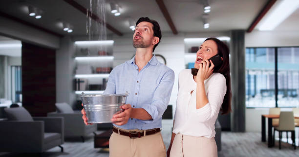 Best Professional water damage repair  in Pembroke, GA